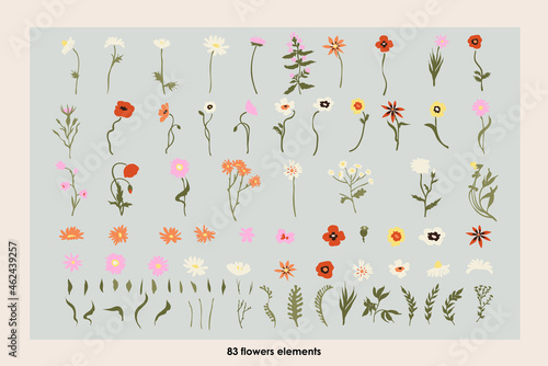 Botanical poster set flowers and branches. Modern style, pastel colors