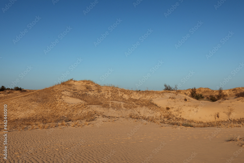 Picturesque view of desert on sunny day