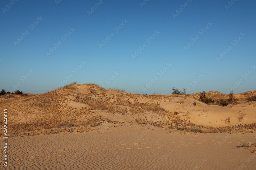 Picturesque view of desert on sunny day Picturesque view of desert on sunny day