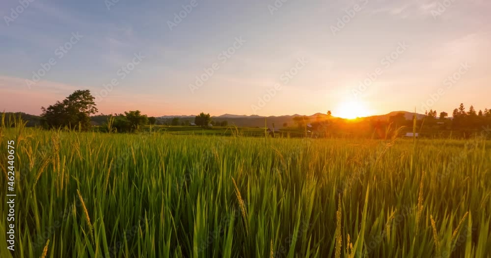 Time lapse changing the color of the sky from evening sunset until dusk over the mountains with paddy terrace fields at Mae Hong Son province Northern Thailand. Time lapse changing the color of the sky from evening sunset until dusk over the mountains with paddy terrace fields at Mae Hong Son province Northern Thailand.