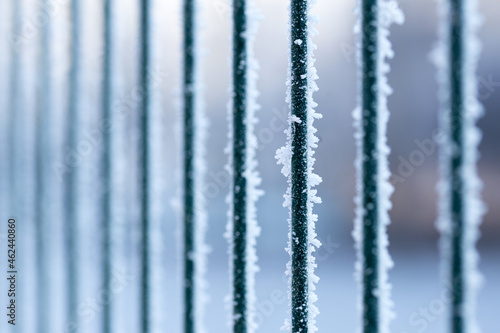 frost on the metal fence