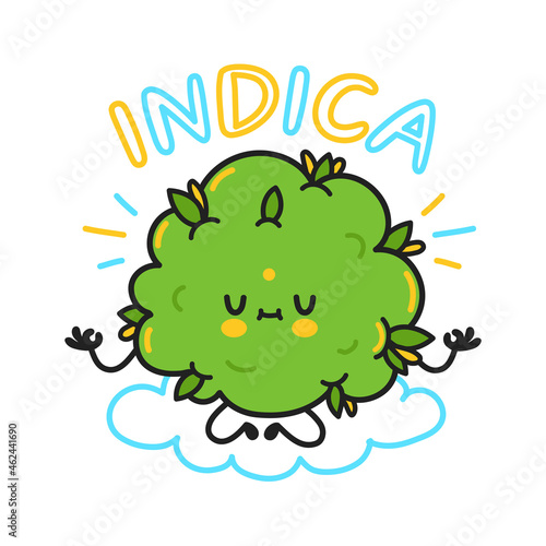 Cute weed cannabis bud. Indica quote. Vector cartoon character flat line illustration. Weed, marijuana strains, indica cannabis concept