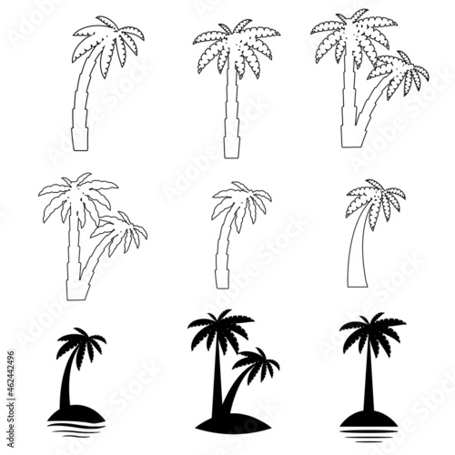 Set tropical palm trees with leaves, mature and young plants, black silhouettes isolated on white background.