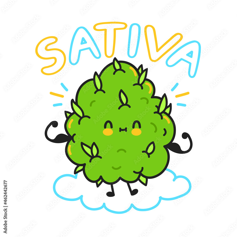 Cute weed cannabis bud. Sativa quote. Vector cartoon character flat line illustration. Weed, marijuana strains, sativa cannabis concept Cute weed cannabis bud. Sativa quote. Vector cartoon character flat line illustration. Weed, marijuana strains, sativa cannabis concept