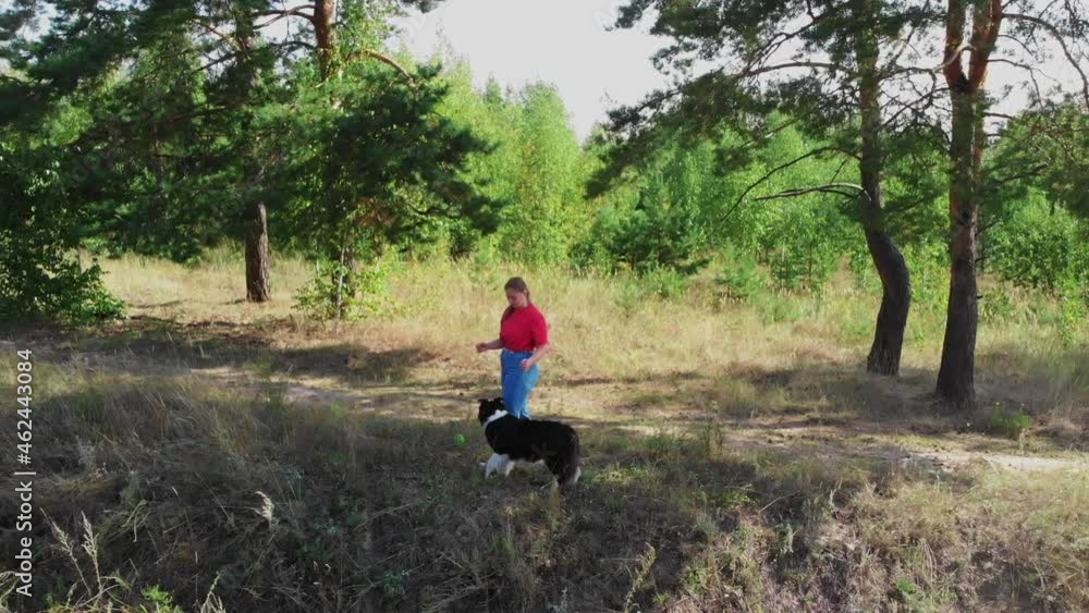 Young plump woman and her cute dog playing outdoors together - aerial view Young plump woman and her cute dog playing outdoors together - aerial view