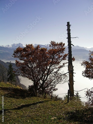 Rigi mountan photo