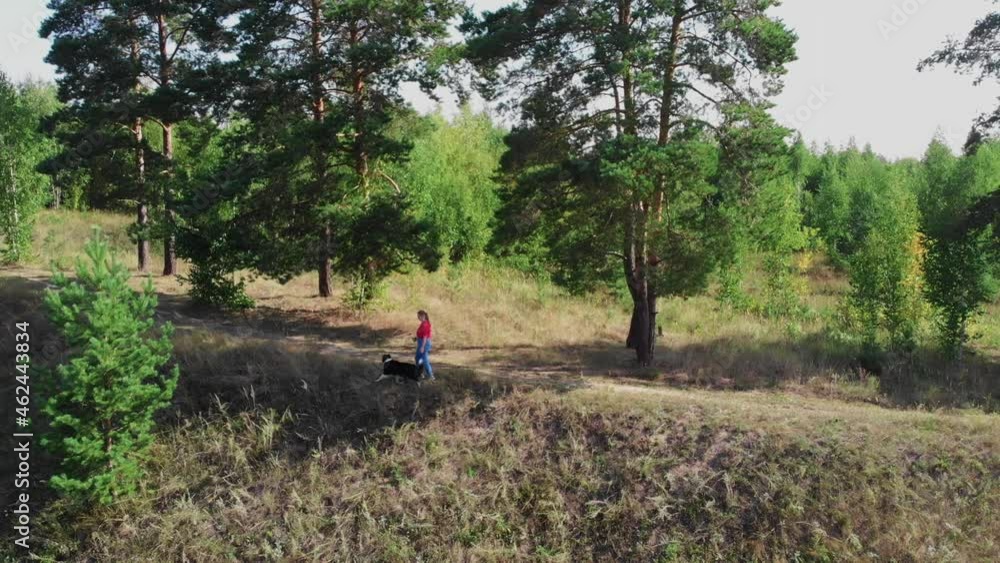 Young plump woman and her cute well trained dog playing together in forest - aerial view Young plump woman and her cute well trained dog playing together in forest - aerial view