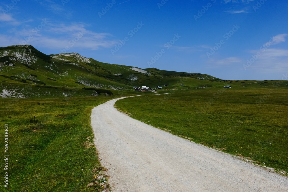 bright dirt road through a green nature landscape with blue sky