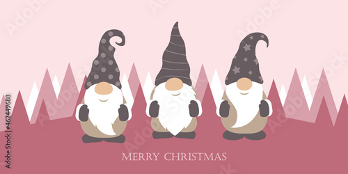 three cute christmas gnomes with funny caps
