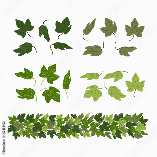 Ivy leaves, and green liana border, isolated on white background. Vector illustration in flat cartoon style.