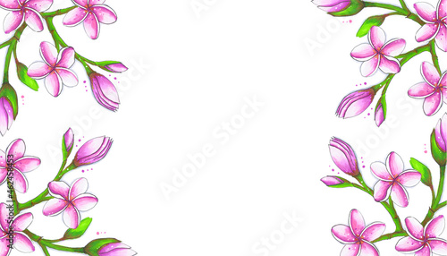 A sketch of a frame of blooming branches of a tropical plumeria tree