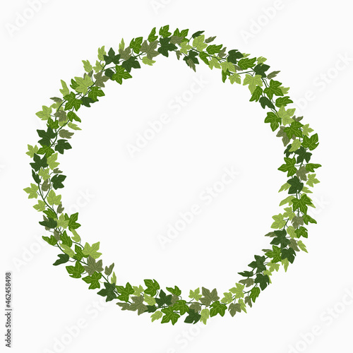 Ivy wreath, green creeper circle frame isolated on white background. Vector illustration in flat cartoon style..