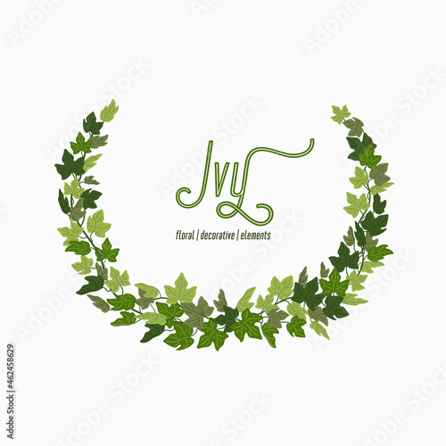 Ivy wreath, green creeper circle frame isolated on white background. Vector illustration in flat cartoon style.