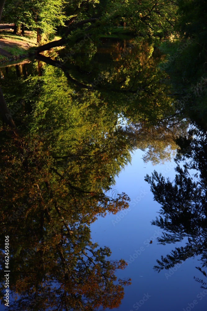 Obraz premium Trees reflections on water surface. Fall season in a park. Autumn in Europe. Abstract natural background. 
