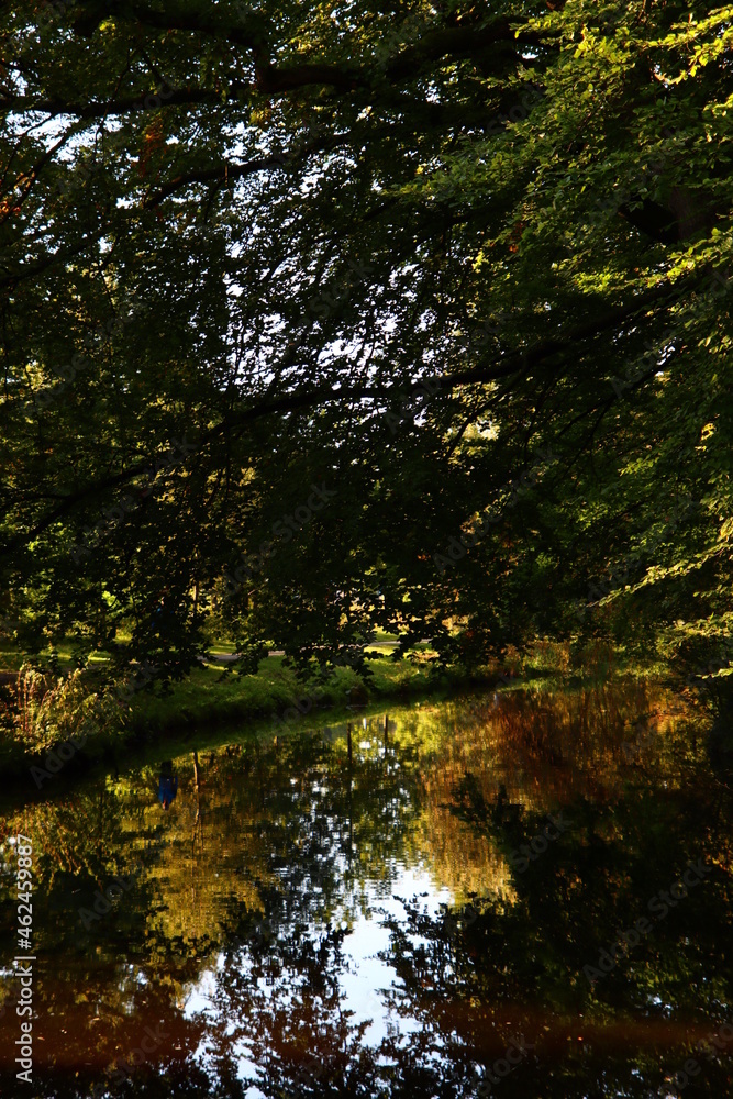 Trees reflections on water surface. Fall season in a park. Autumn in Europe. Abstract natural background. 