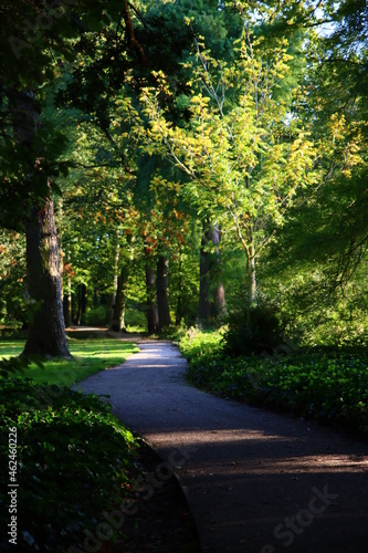 Beautiful day in autumn park. Pathway trough green trees. Sunny day in Dutch park. European nature landscape photo. 