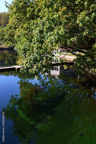 Beautiful lake in a park. Calm blue water, big green trees, blue sky. Sunny day in autumn park. Nature of the Netherlands. 