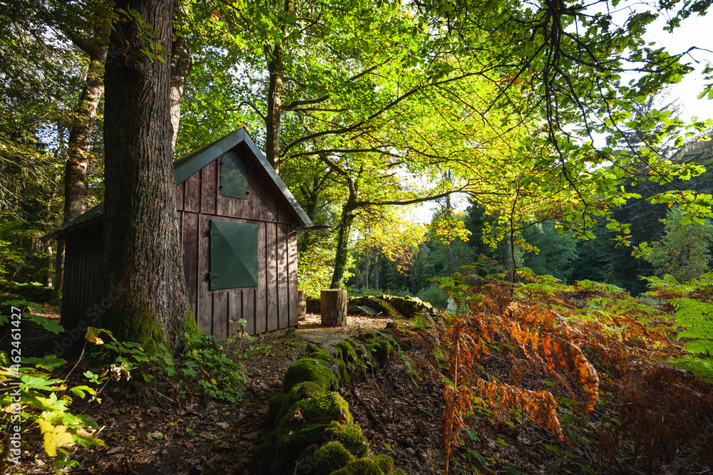 Hütte im Herbstwald