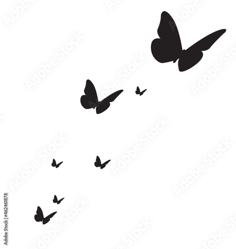 flying butterflies silhouette