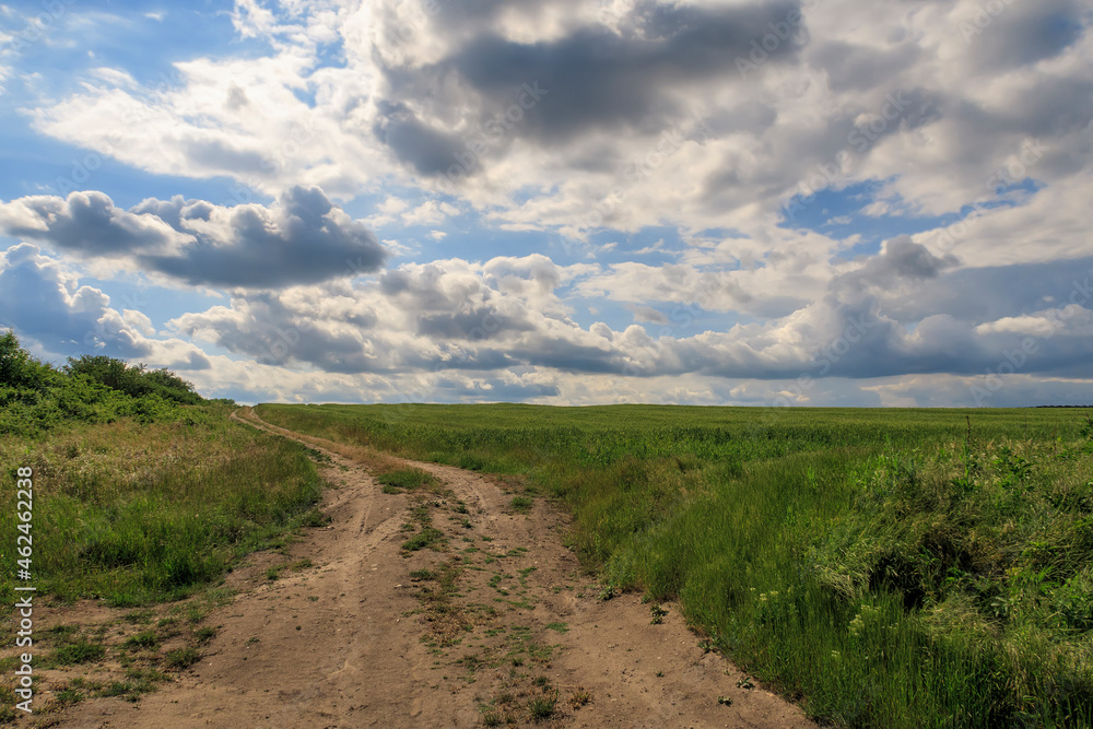Fototapeta premium beautiful day landscape with the country road and cloudy sky