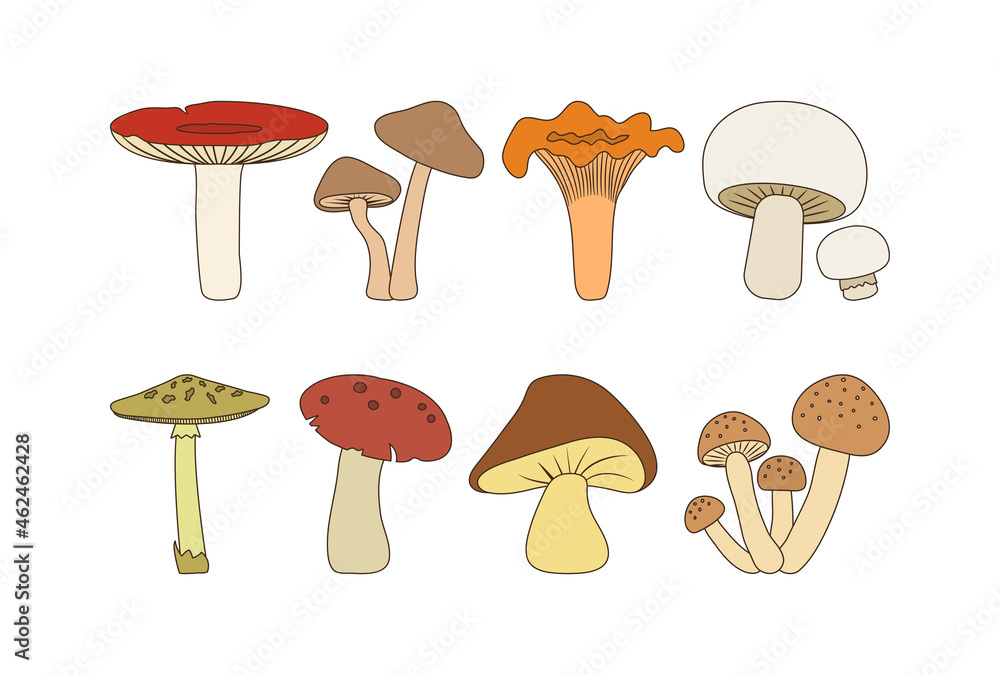Cartoon autumn editable mushroom icon set isolated on white background. Food vector illustration