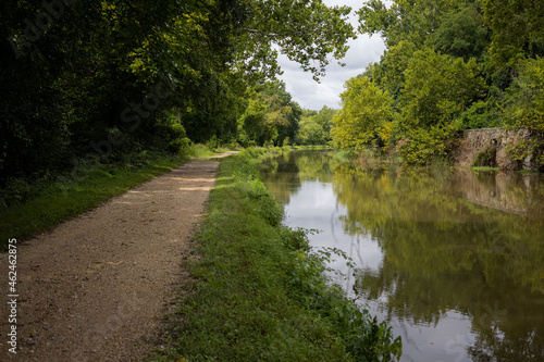 Stream surrounded by trees and a route in apark photo