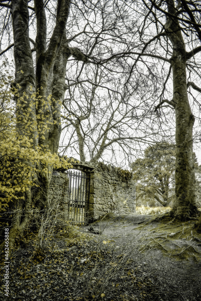 Ancient Stonework Wall on Old Irish Estate Ancient Stonework Wall on Old Irish Estate