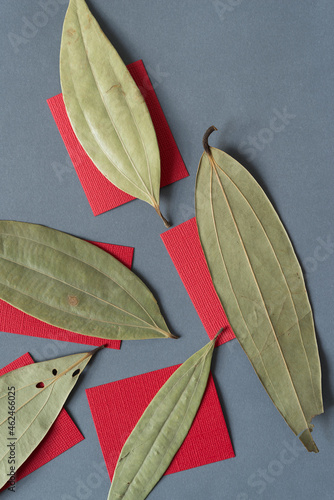 laurel leaves on red paper squares