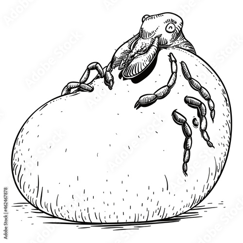 Gluttonous Tick, Stuffed with Blood, Vector Illustration