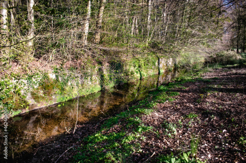 Moat Ditch With Ancient Barrier Wall  Ireland