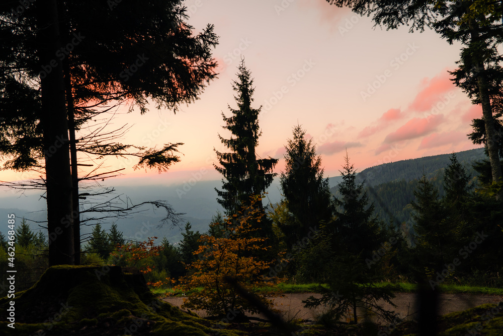 Fototapeta premium Sonnenaufgang zur blauen stunde