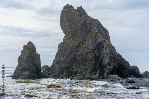 Ruby Beach Rock Monolith 10