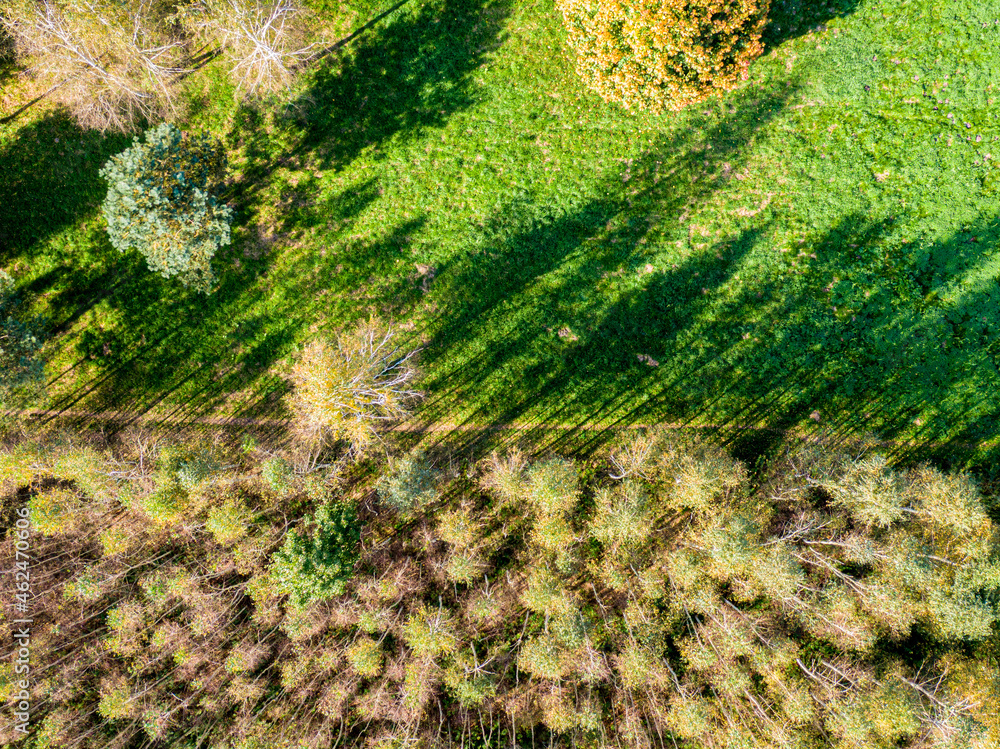 Aerial view of beautiful forest on autumn day. Small road, Sun shining. Natural green, orange and yellow background. Photo from the dron Aerial view of beautiful forest on autumn day. Small road, Sun shining. Natural green, orange and yellow background. Photo from the dron