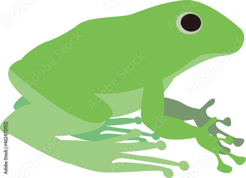 シンプルな蛙