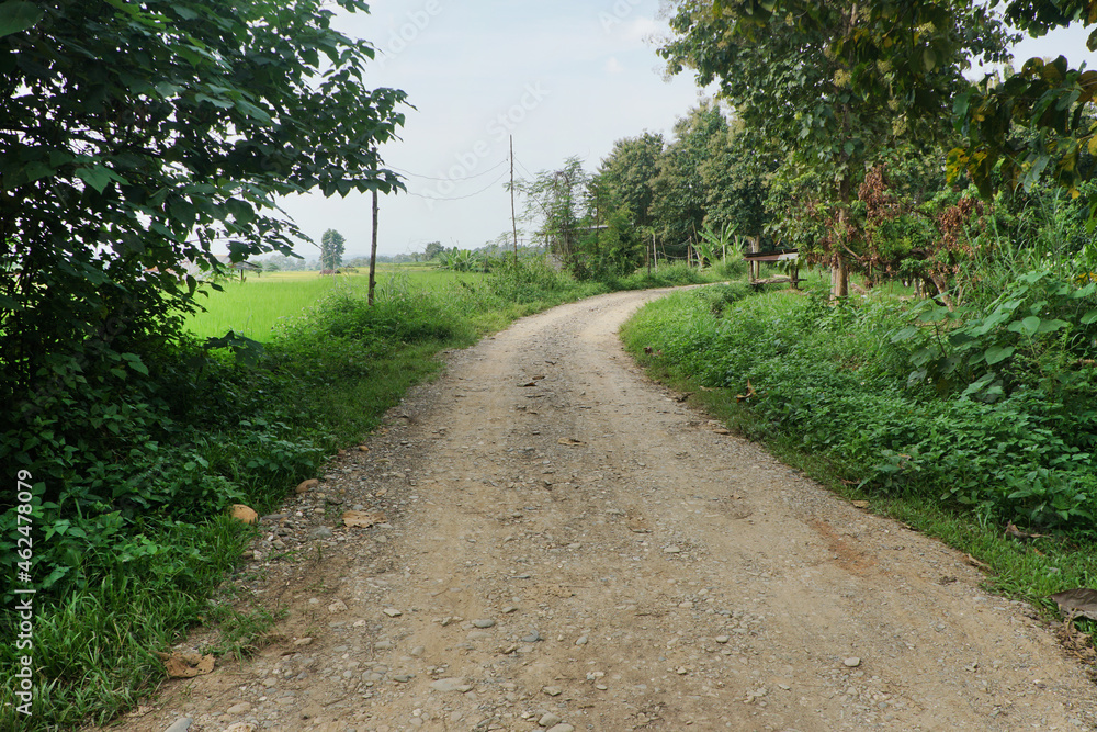 Gravel road  beside the road is full of green grass in countryside , Nan province, Thailand