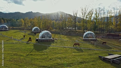 Eco hotel in a valley in front of the mountains. Top view from the drone. Horses in the field. Chemal Altai Autumn sunset. High quality 4k footage photo