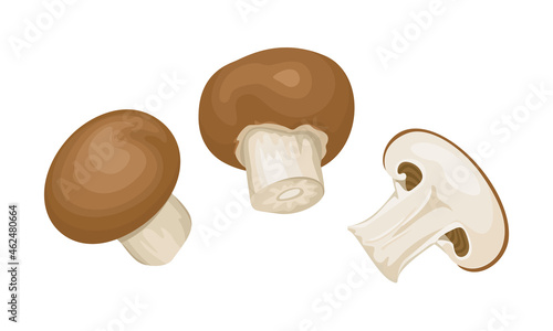 Mushrooms vector illustration. Champignons whole and slice isolated on white background. Cartoon flat style.