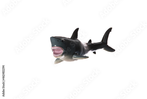 toy plastic shark isolated on white background