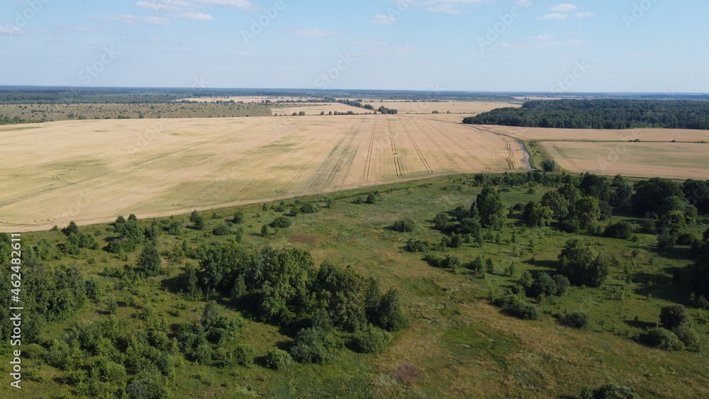 Small green grove, aerial view. Trees in a young forest, landscape. Small green grove, aerial view. Trees in a young forest, landscape.