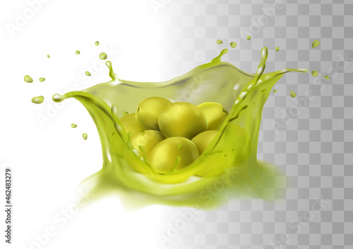 vector icon. Olive oil splash. Green olives. photo