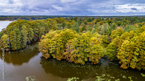 Aerial Drone Shot of Autumn Trees In Virginia 