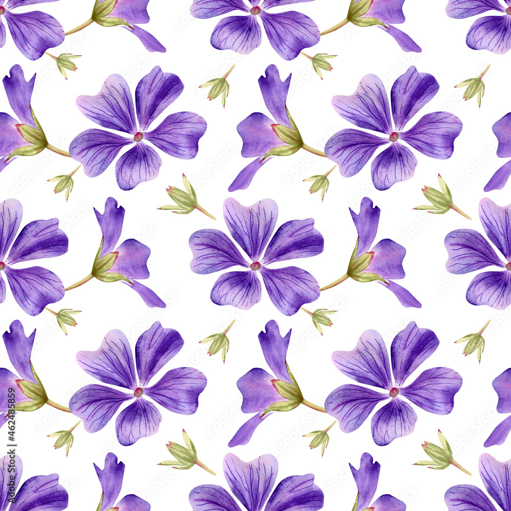 Seamless geranium violet flowers pattern. Watercolor floral background with Purple flower, green leaf and bud for textile, womens day decor