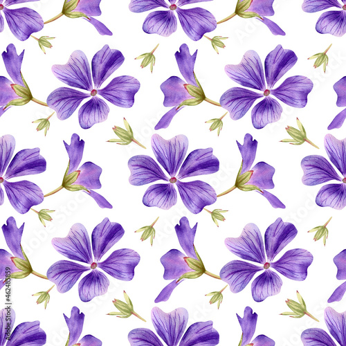 Seamless geranium violet flowers pattern. Watercolor floral background with Purple flower  green leaf and bud for textile  womens day decor