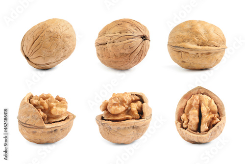 Set with tasty walnuts on white background