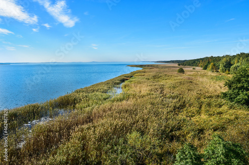 pier and reeds, beautiful landscape