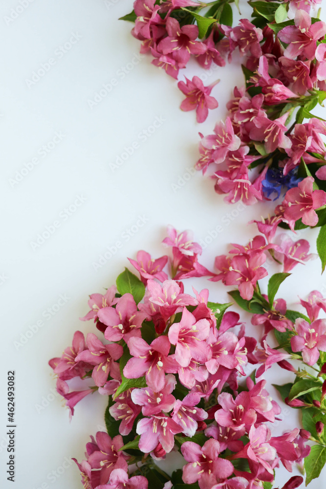 postcard layout. frame of pink flowers and space for text postcard layout. frame of pink flowers and space for text