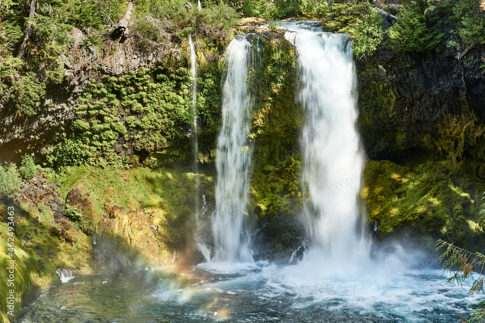 Naklejka premium Koosah Falls, McKenzie River, Willamette National Forest, Oregon