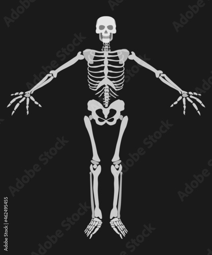 human skeleton on a dark background simple drawing
