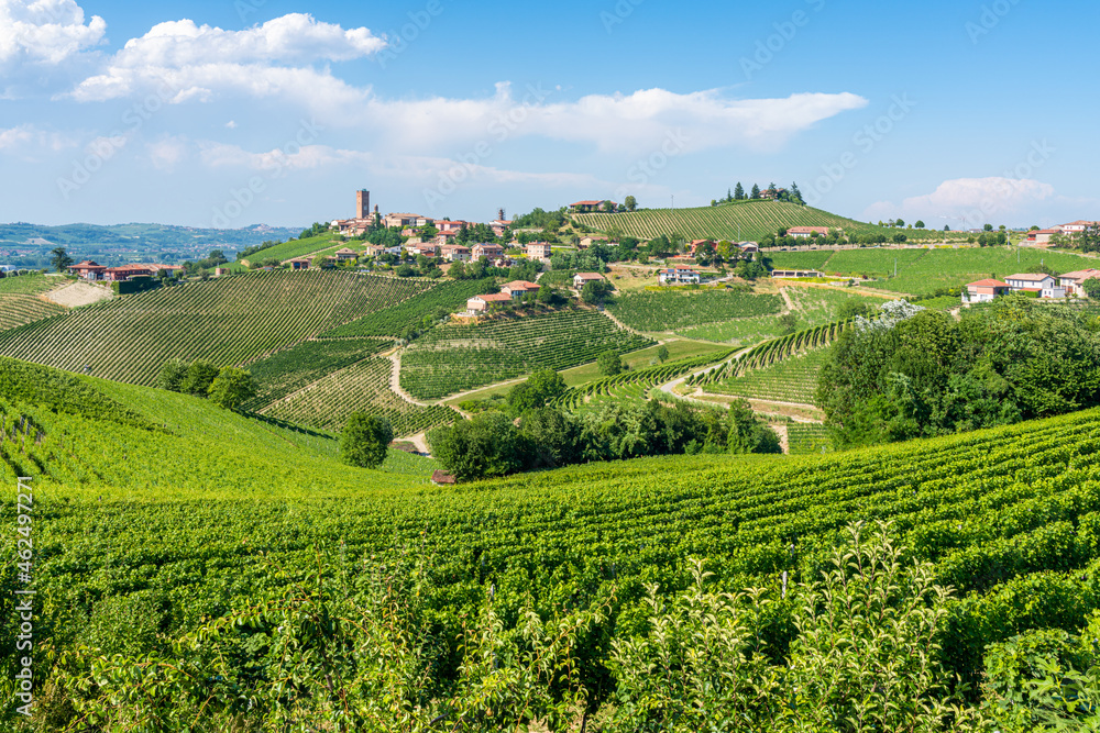 Beautiful hills and vineyards surrounding Barbaresco village in the Langhe region. Cuneo, Piedmont, Italy.