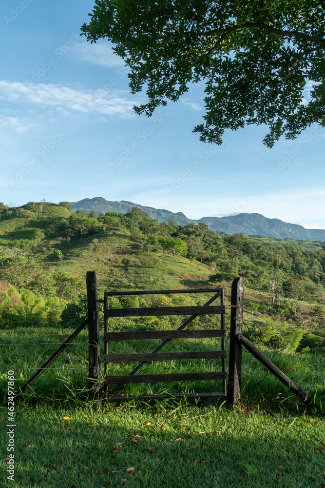Wooden fence and green tree leaves with blue sky. Tamesis, Antioquia, Colombia.